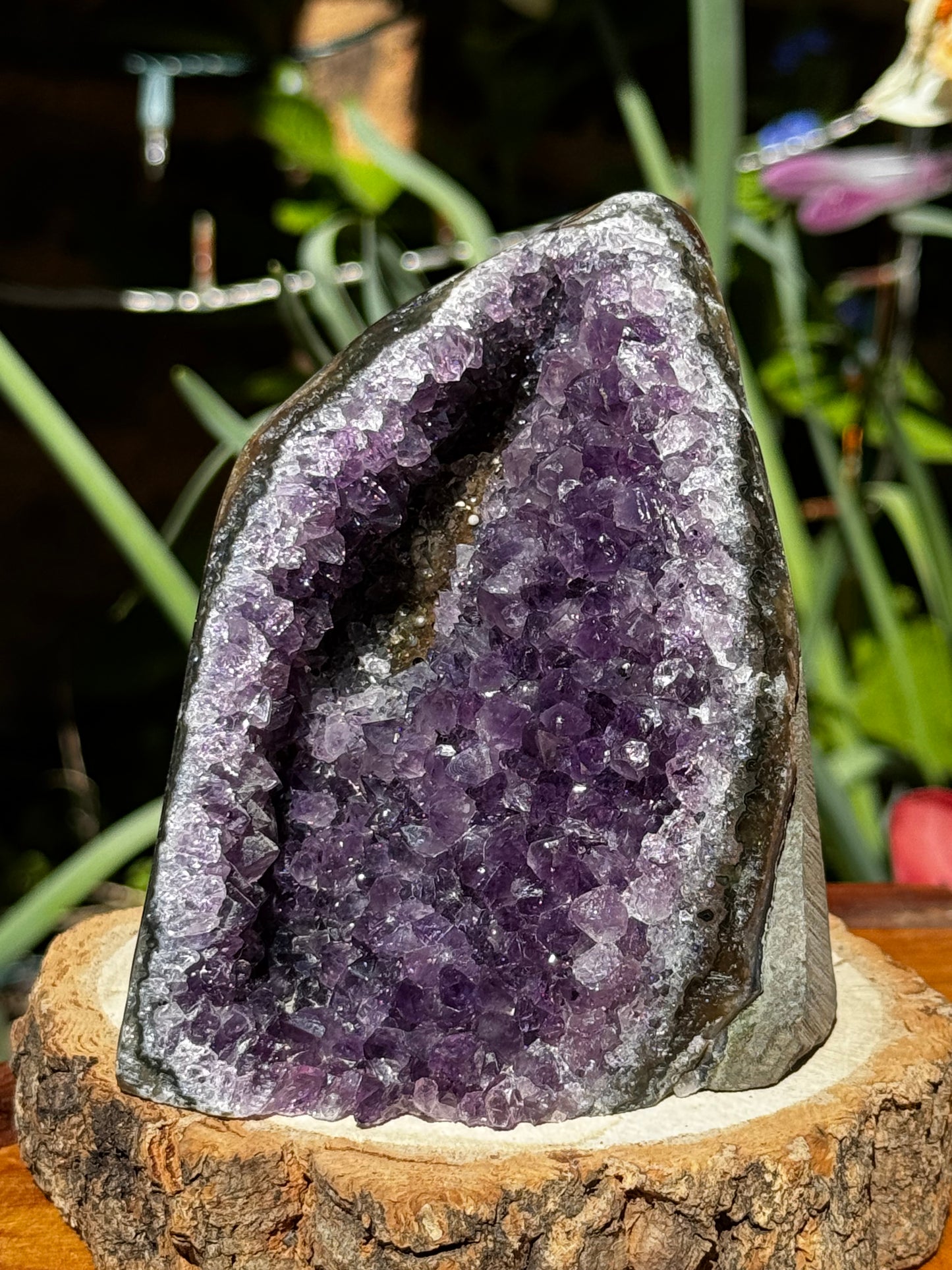 High Quality Amethyst Cut-Based | 645g