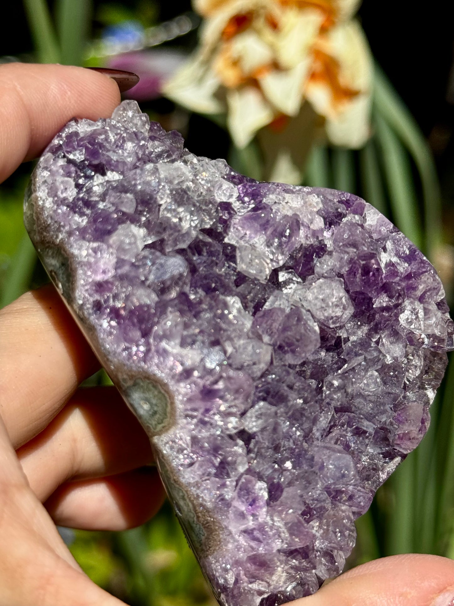 High Quality Amethyst Cluster | 198g