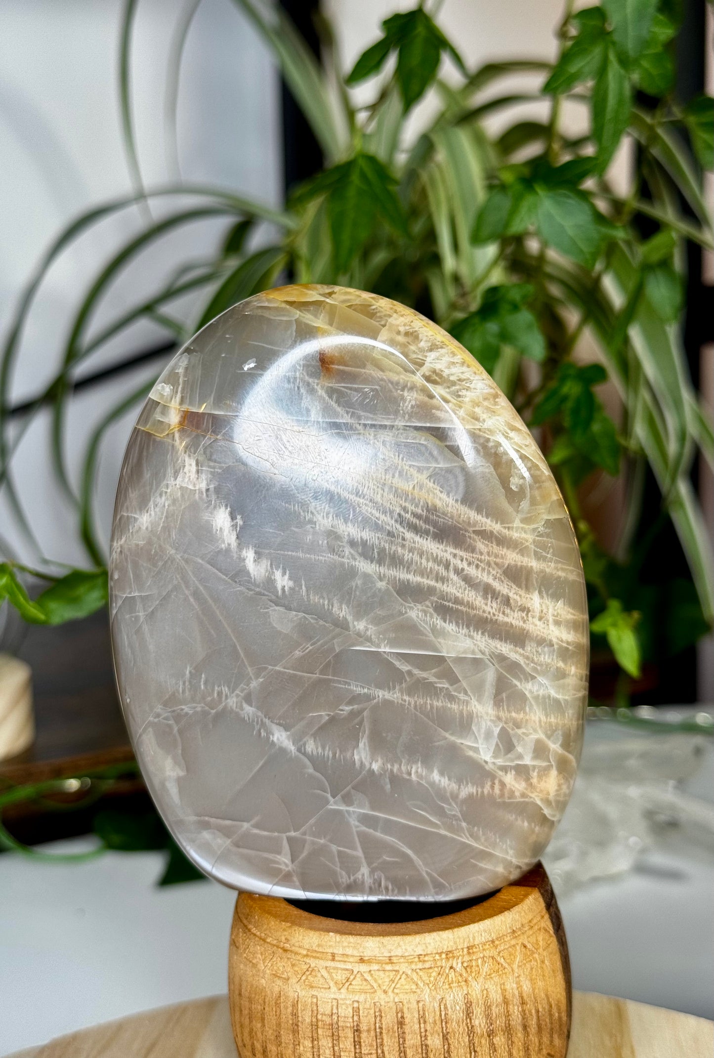 Flashy Peach Moonstone Freeform  | 383g