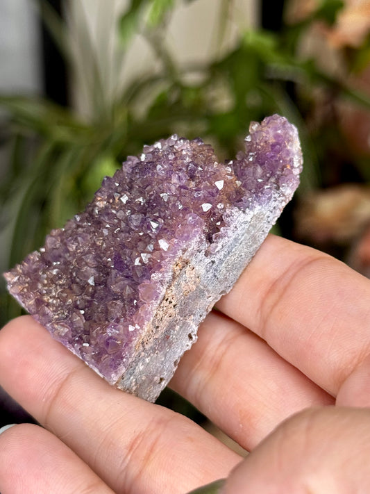 Alacam Amethyst Cluster | 55g