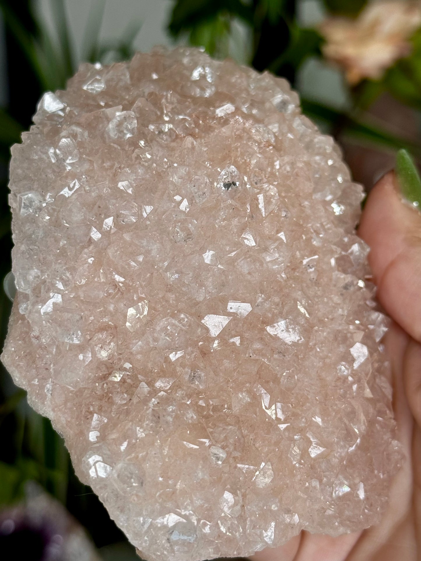 Pink Apophyllite Cluster | 213g