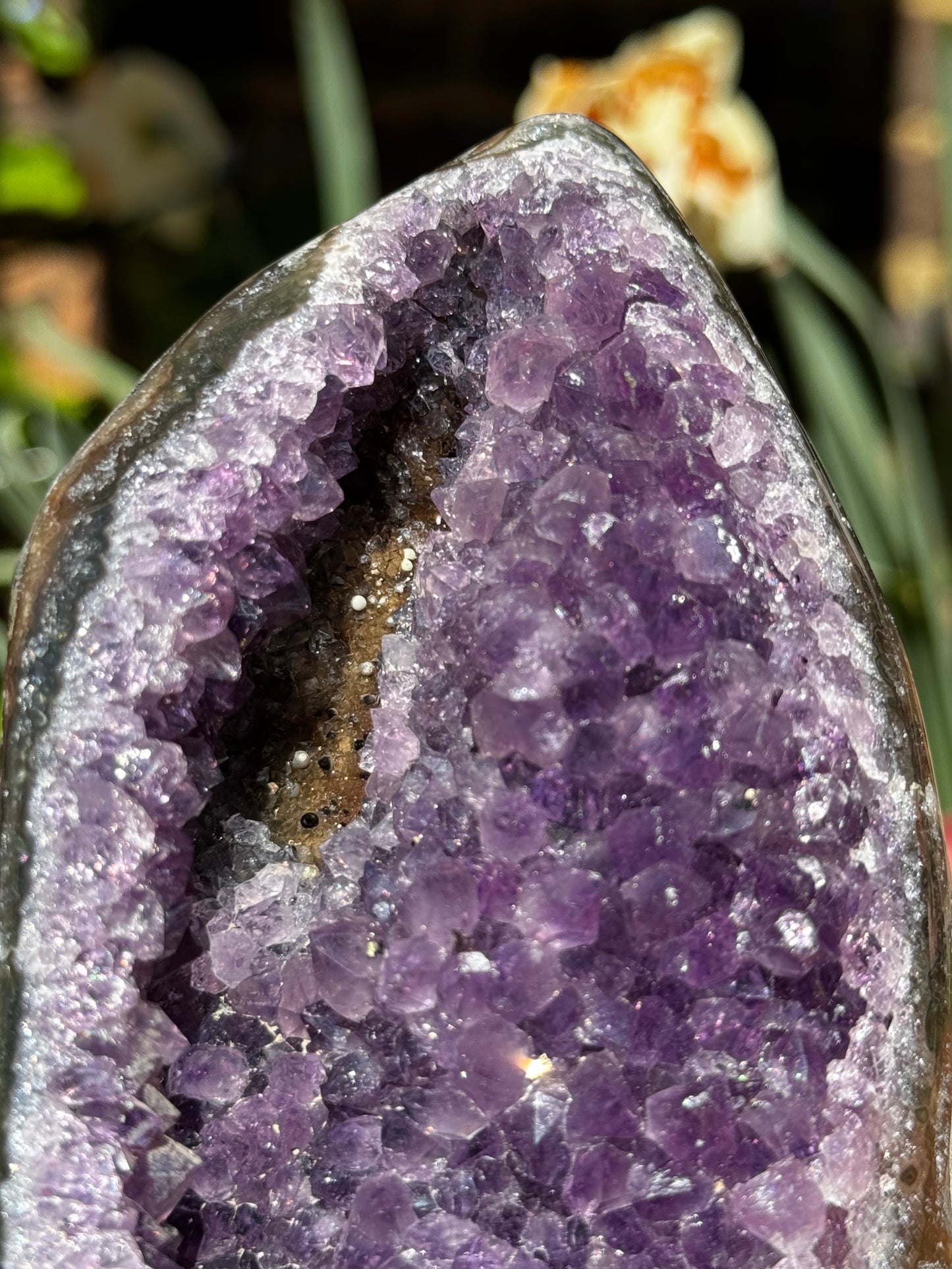 High Quality Amethyst Cut-Based | 645g