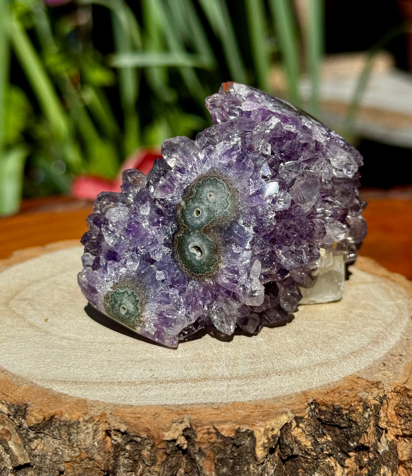 High Quality Amethyst Cluster | 198g