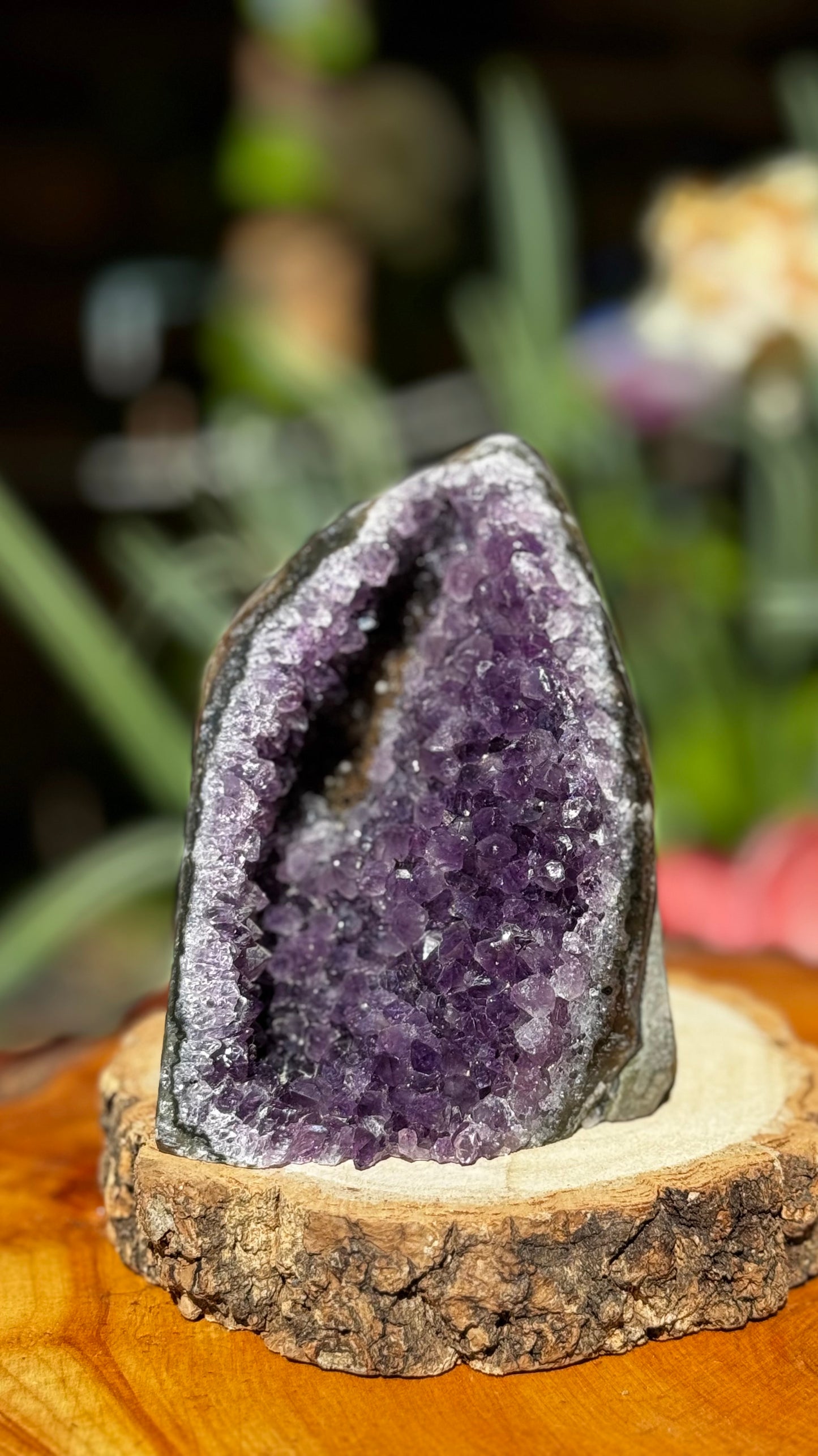 High Quality Amethyst Cut-Based | 645g