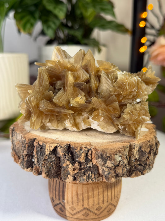 Gorgeous Star Mica from Brazil | 318g