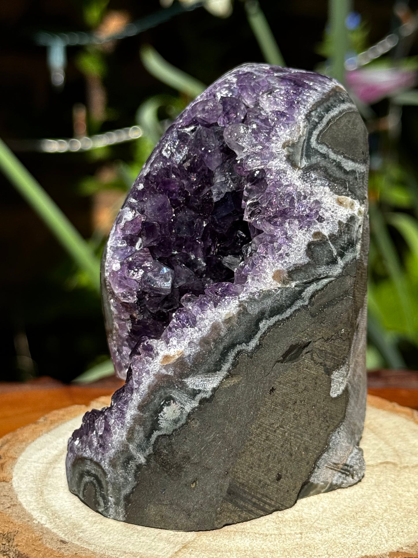 High Quality Amethyst Cut-Based | 431g
