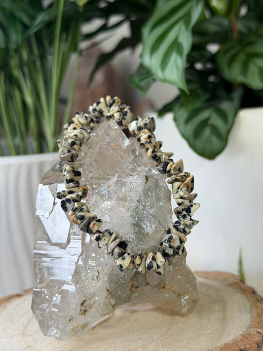 Elasticated Dalmatian Jasper Bracelet