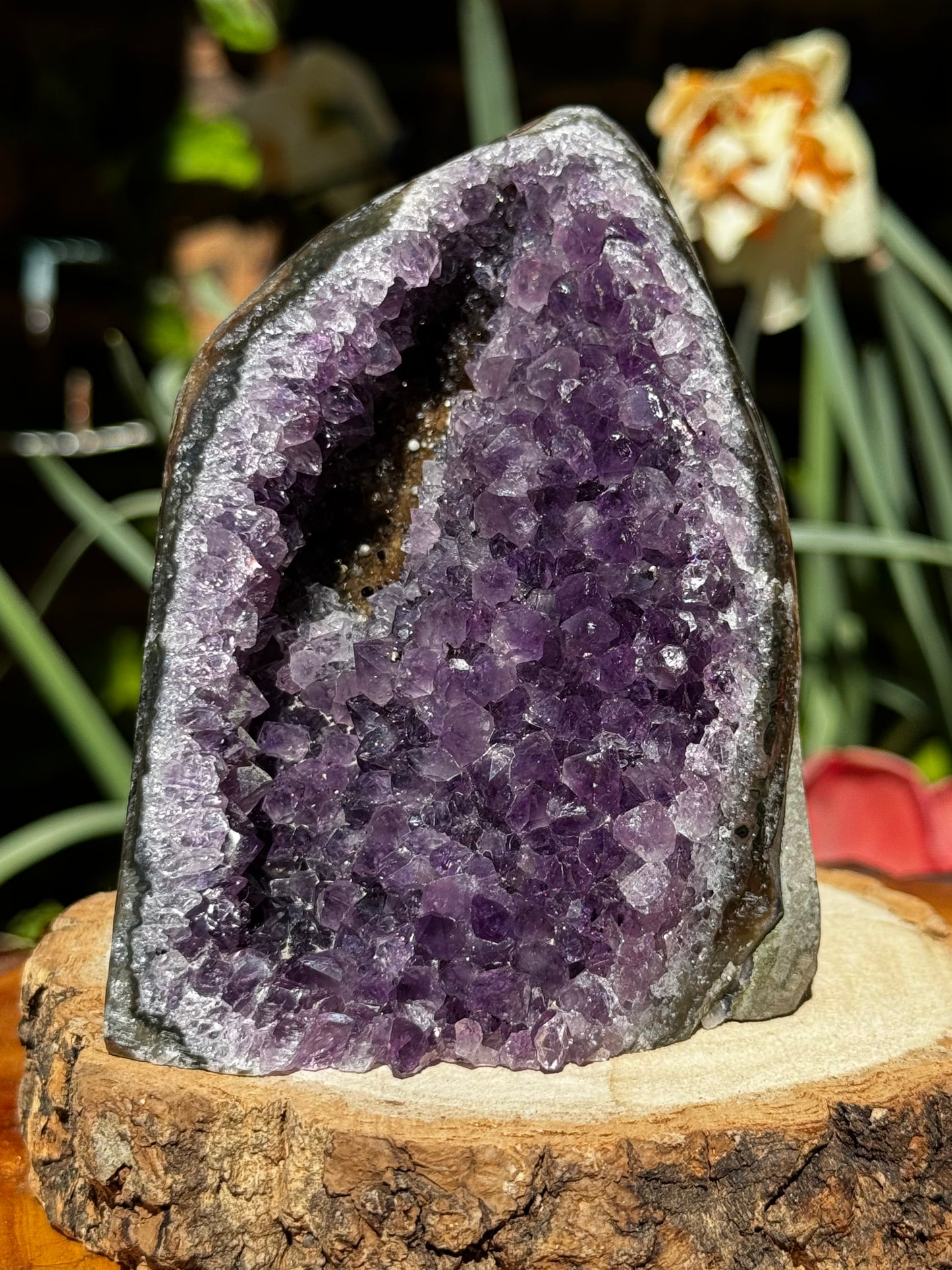 High Quality Amethyst Cut-Based | 645g