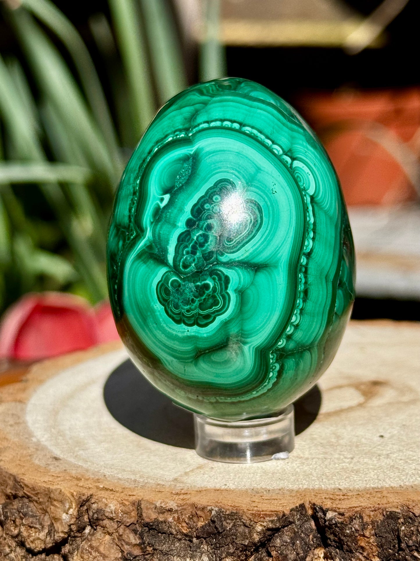 Malachite egg | 167g