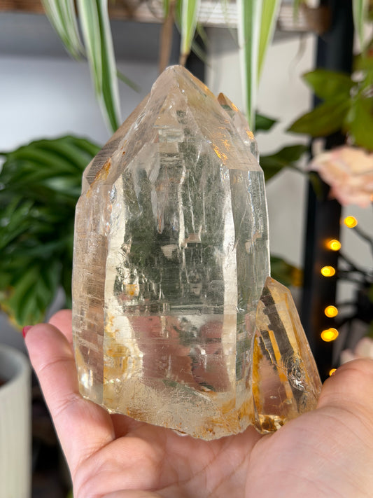 High Quality Natural Brazilian Champagne Cathedral Citrine | 579g