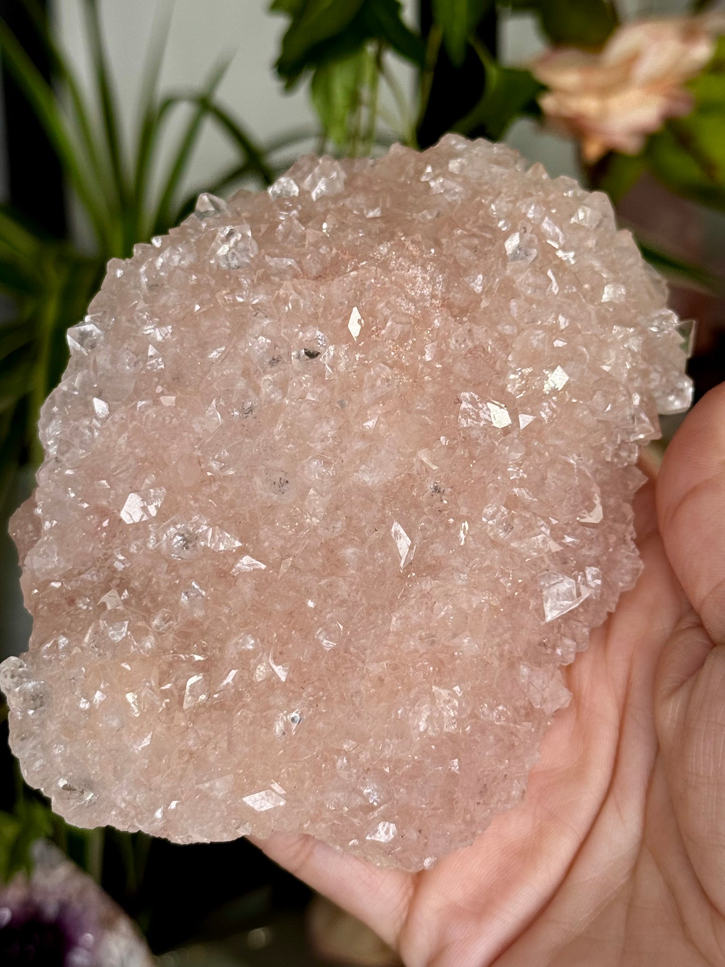 Pink Apophyllite Cluster | 213g