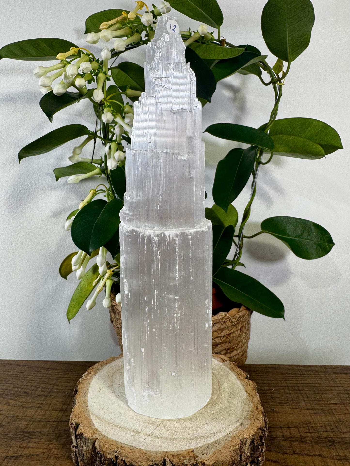 Selenite Tower | 764g