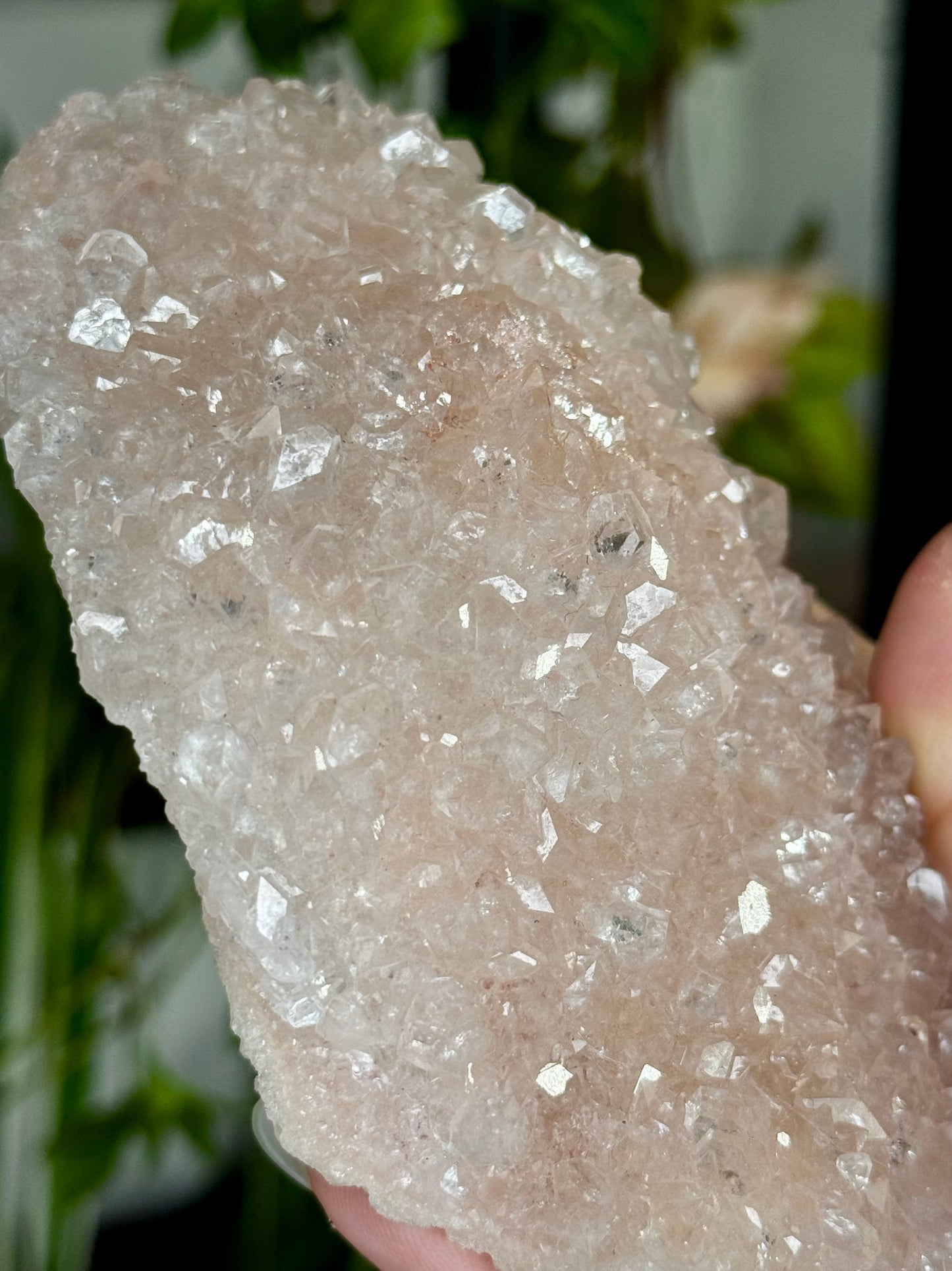 Pink Apophyllite Cluster | 213g