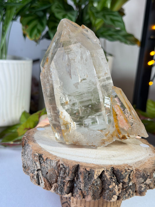 High Quality Natural Brazilian Champagne Cathedral Citrine | 579g