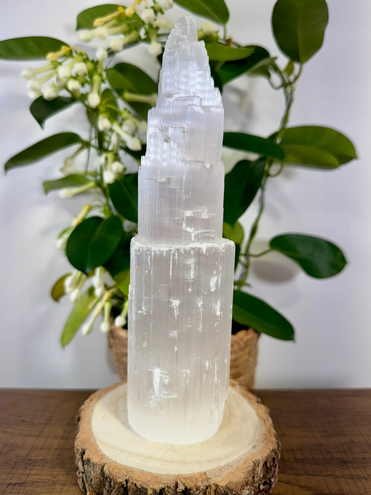 Selenite Tower | 764g