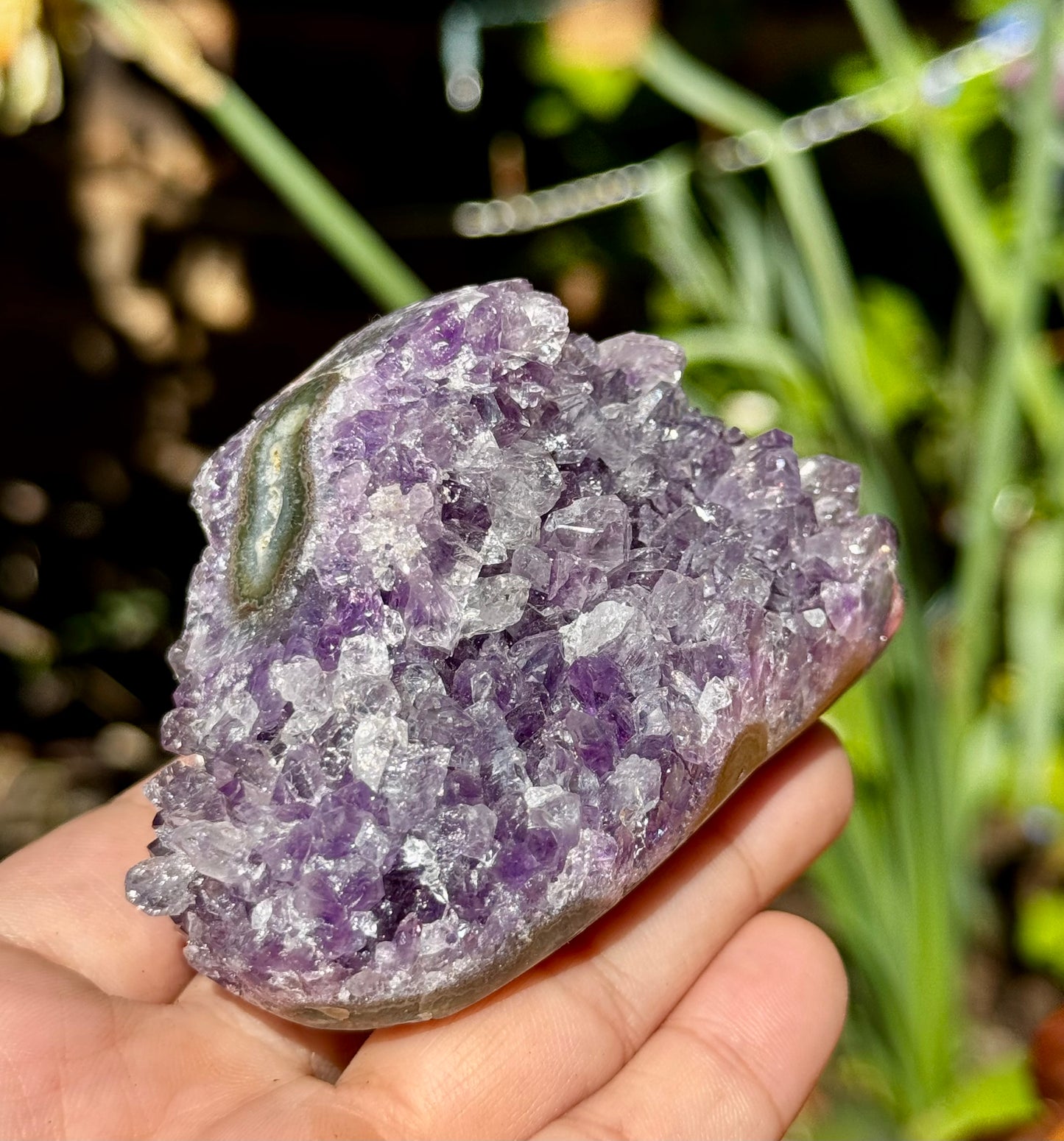 High Quality Amethyst Cluster | 198g