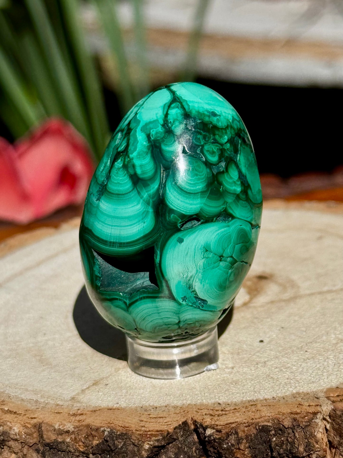 Malachite egg | 76g