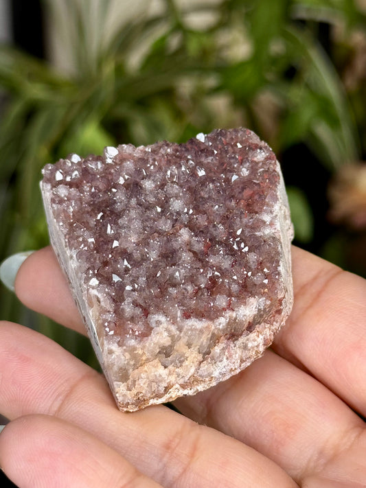 Alacam Amethyst Cluster | 55g