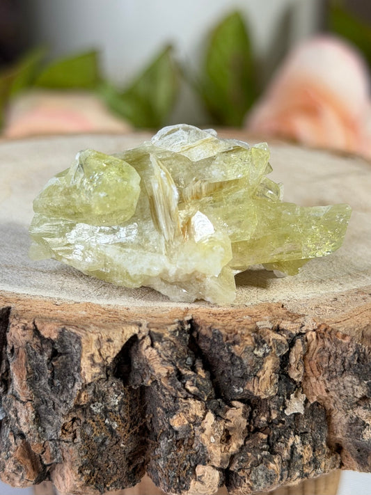 Collectors Item - Mini Brazilianite | 18g