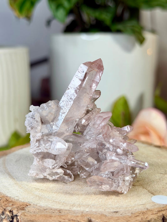 Mini 'Pink Lithium' Cluster 4 | 54g