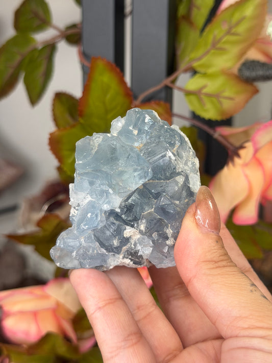 Celestite Cluster | 189g