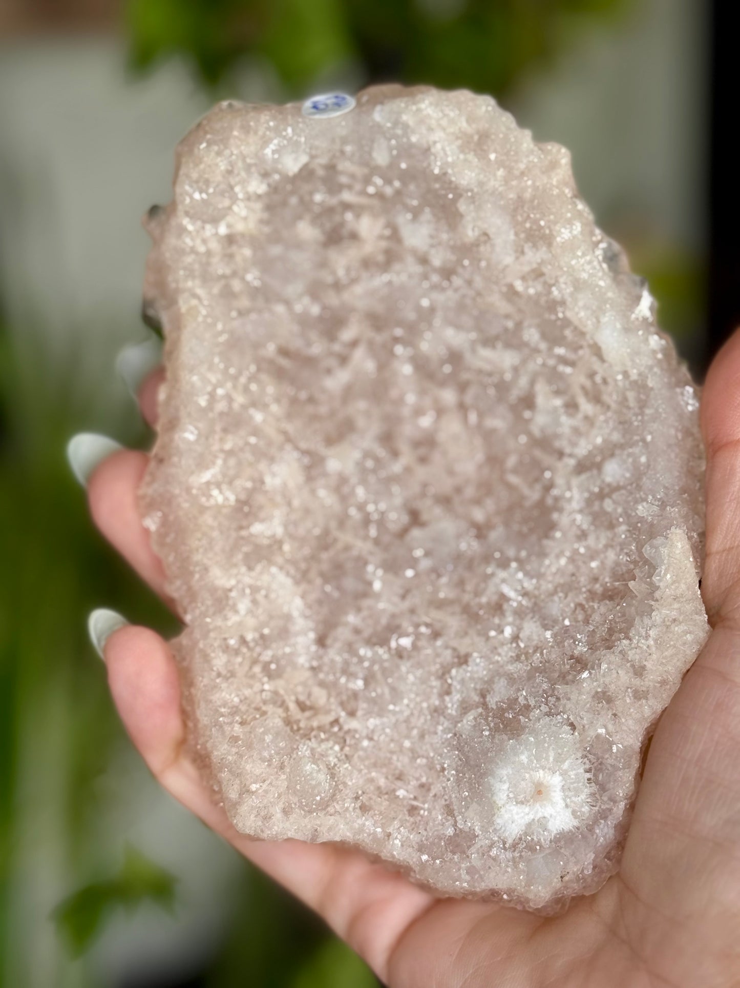 Pink Apophyllite Cluster | 213g