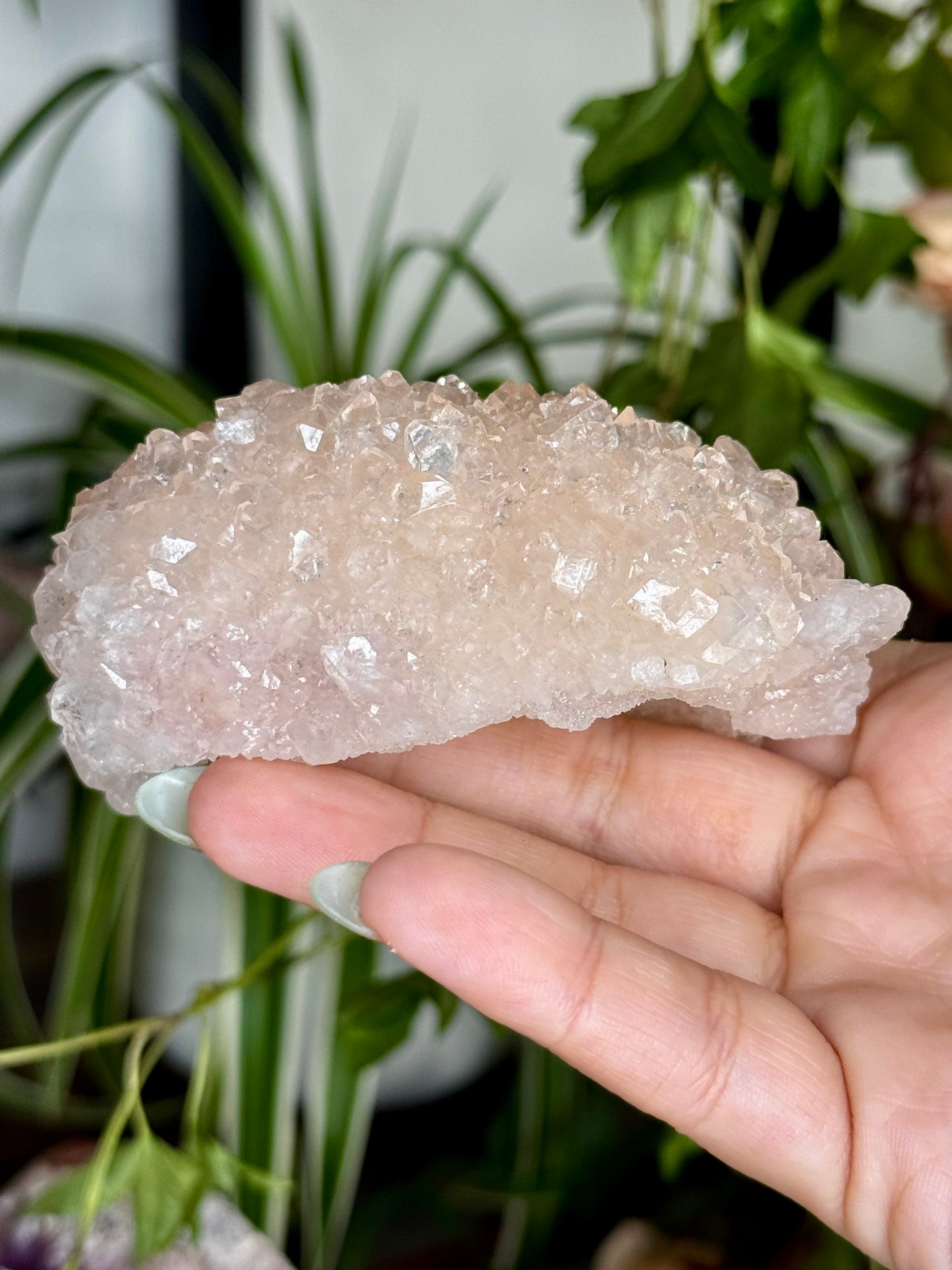 Pink Apophyllite Cluster | 129g