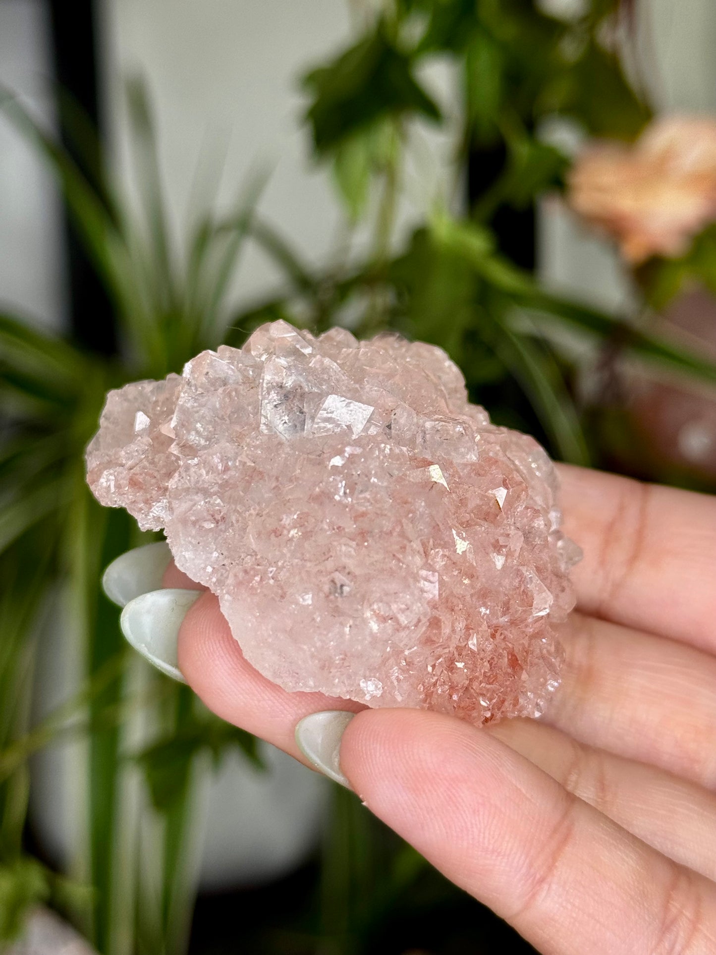 Pink Apophyllite Cluster | 57g