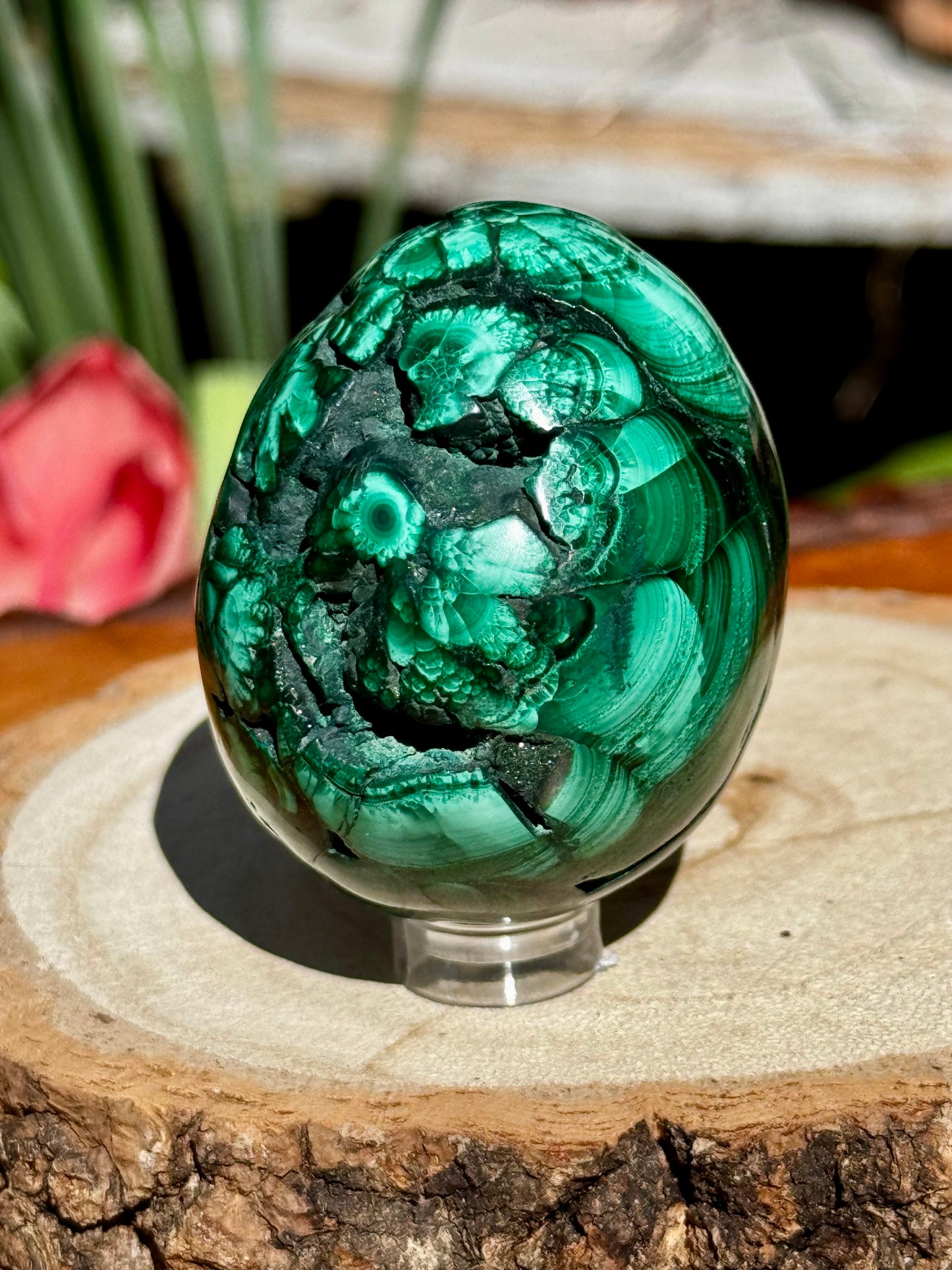 Malachite egg | 178g