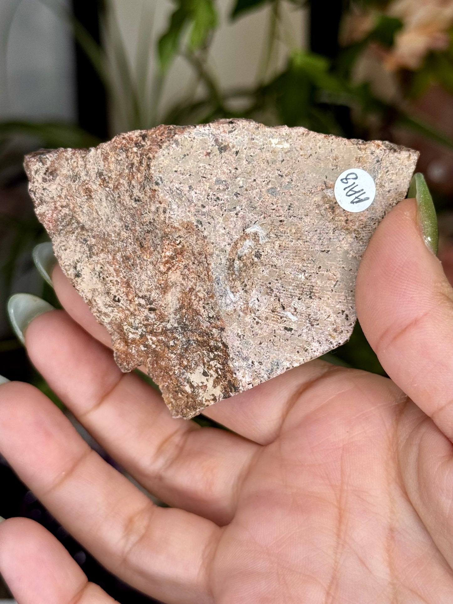 Alacam Amethyst Cluster | 108g