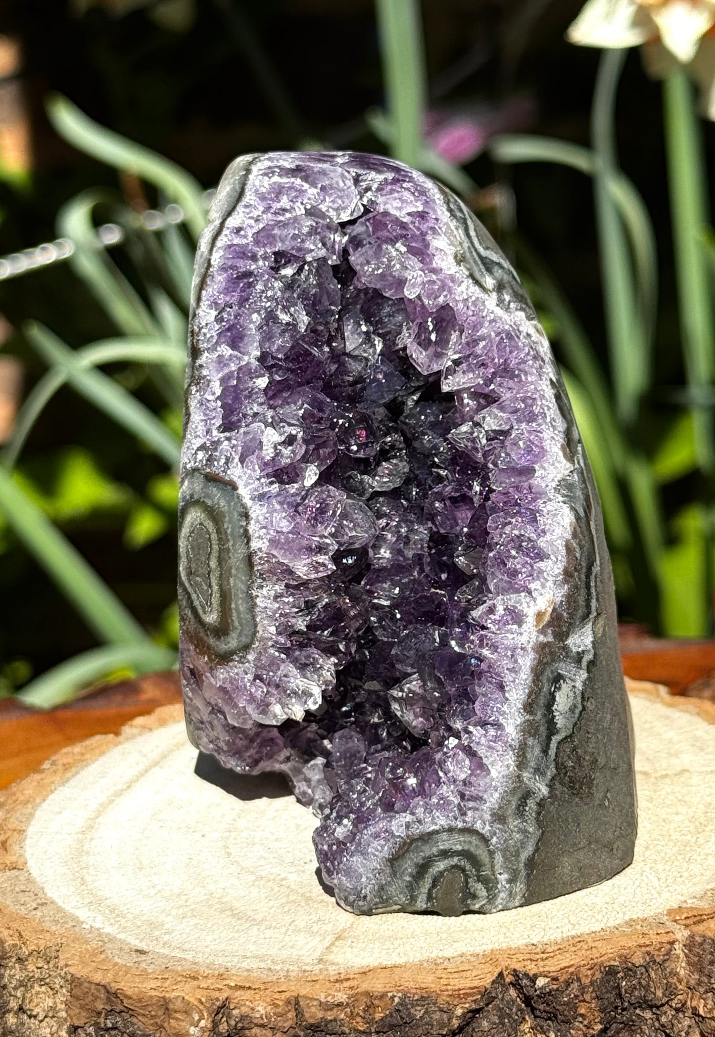 High Quality Amethyst Cut-Based | 431g