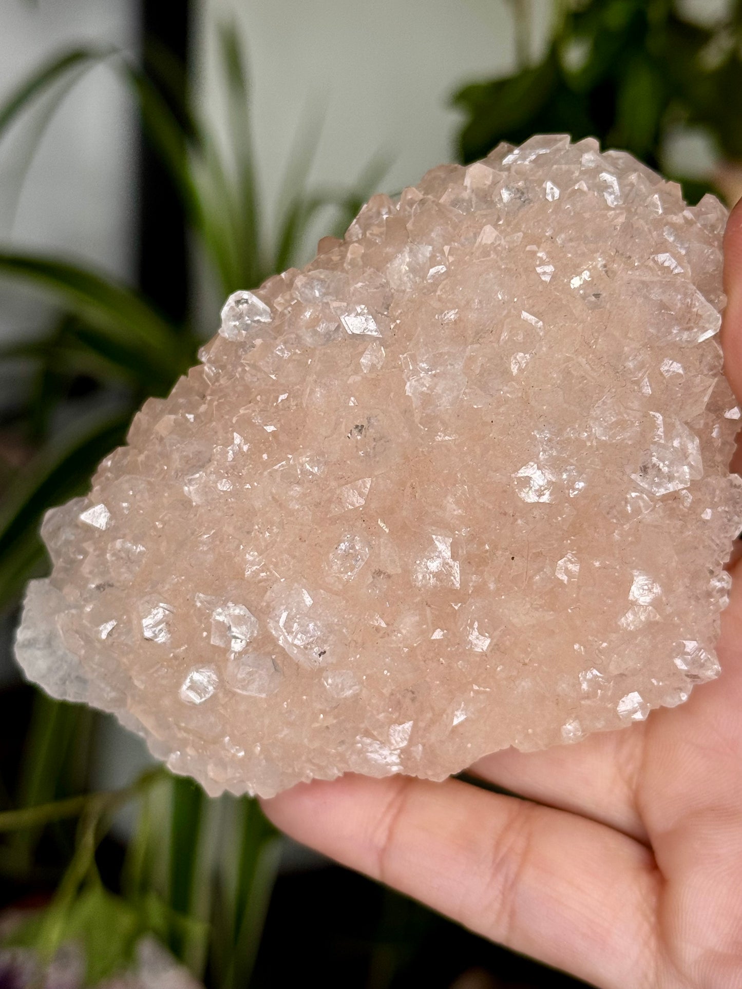 Pink Apophyllite Cluster | 129g