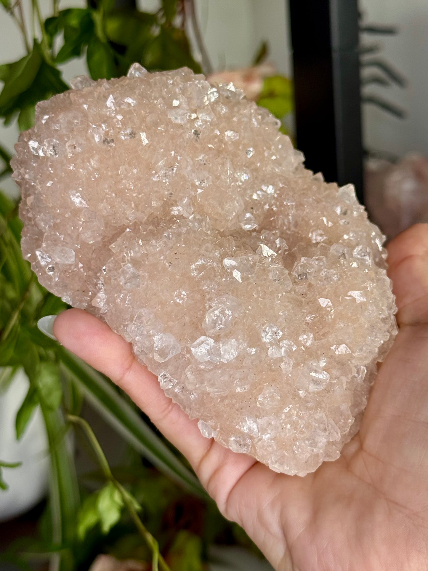 Pink Apophyllite Cluster | 281g