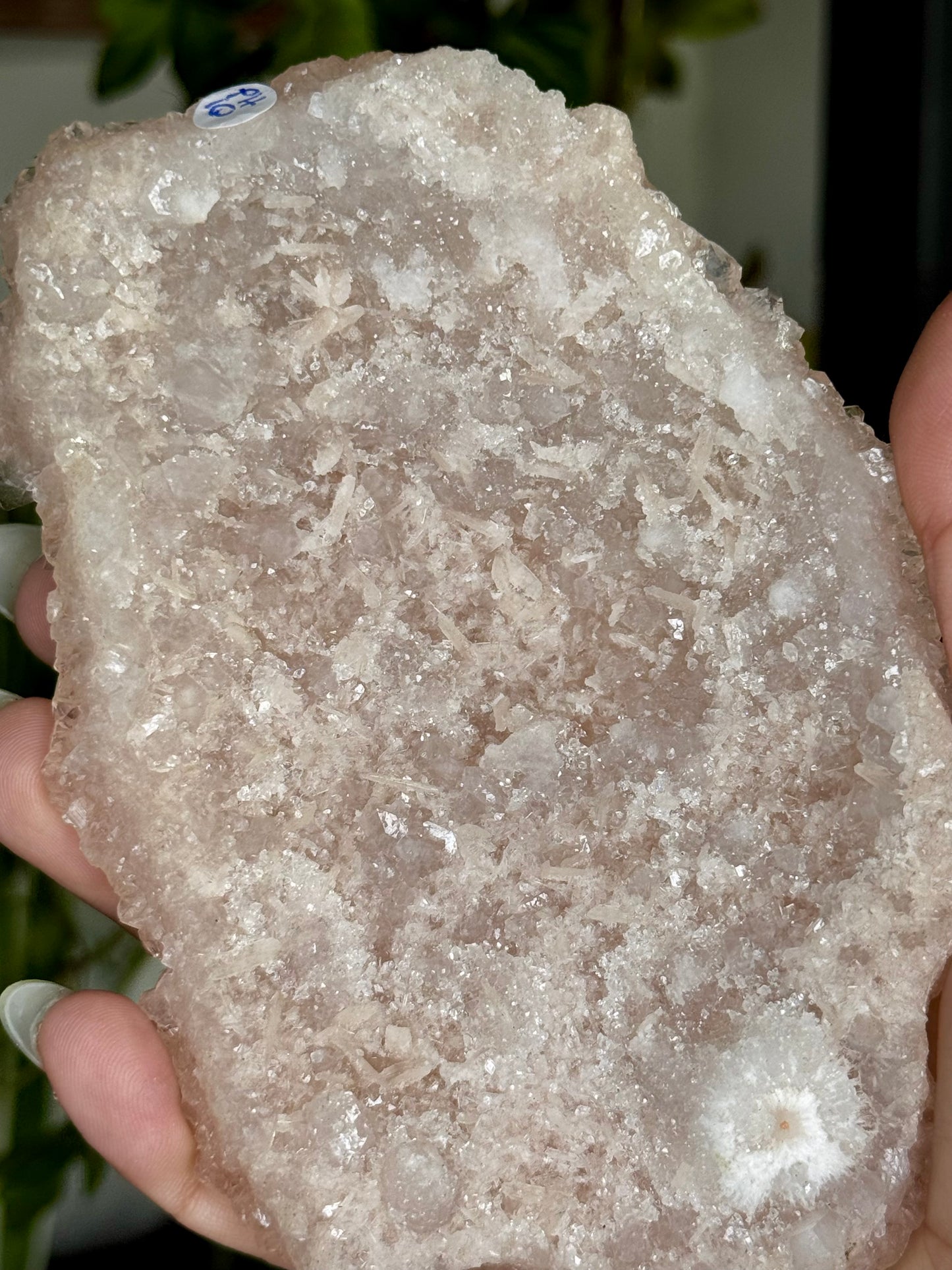 Pink Apophyllite Cluster | 213g
