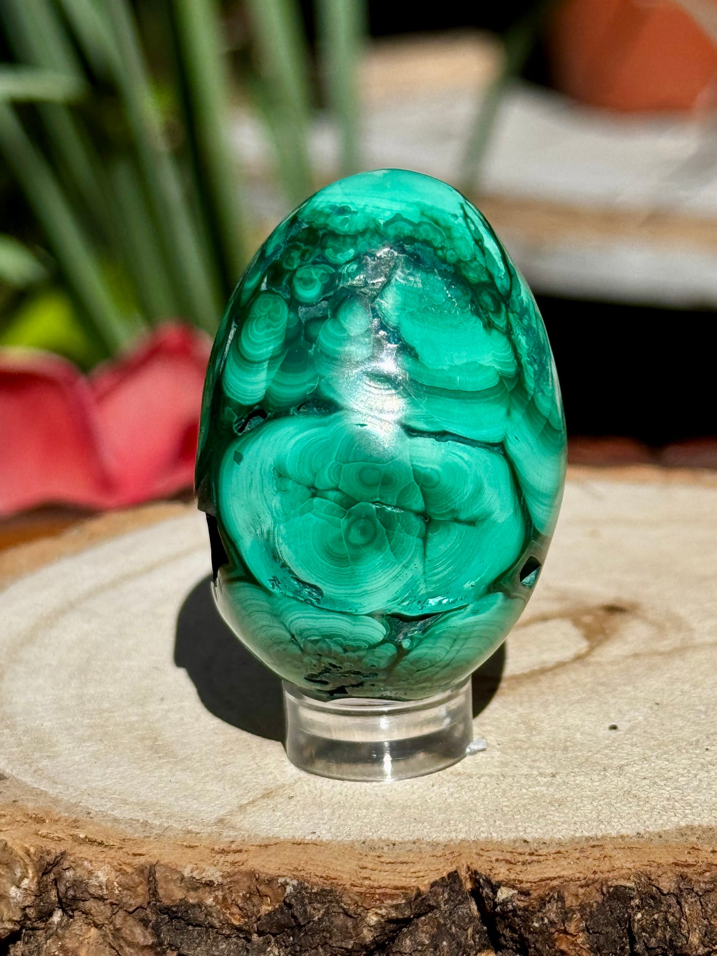 Malachite egg | 76g