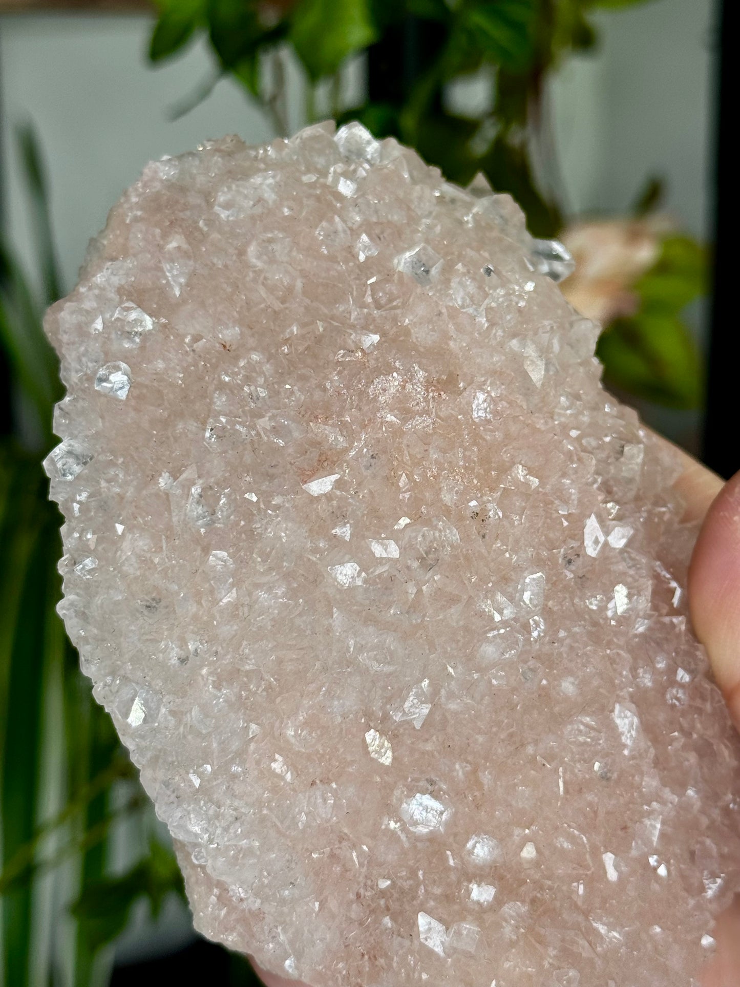 Pink Apophyllite Cluster | 213g