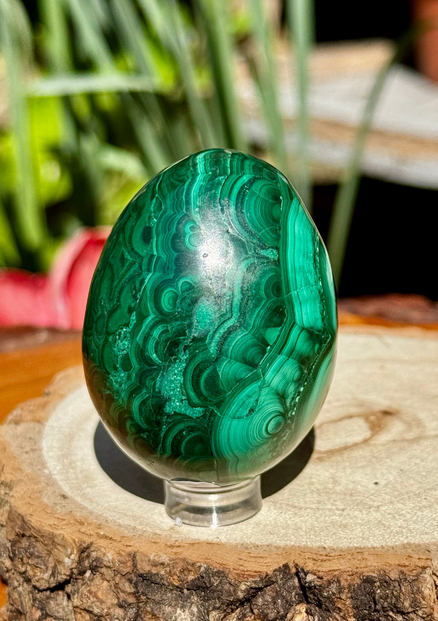 Malachite egg | 167g