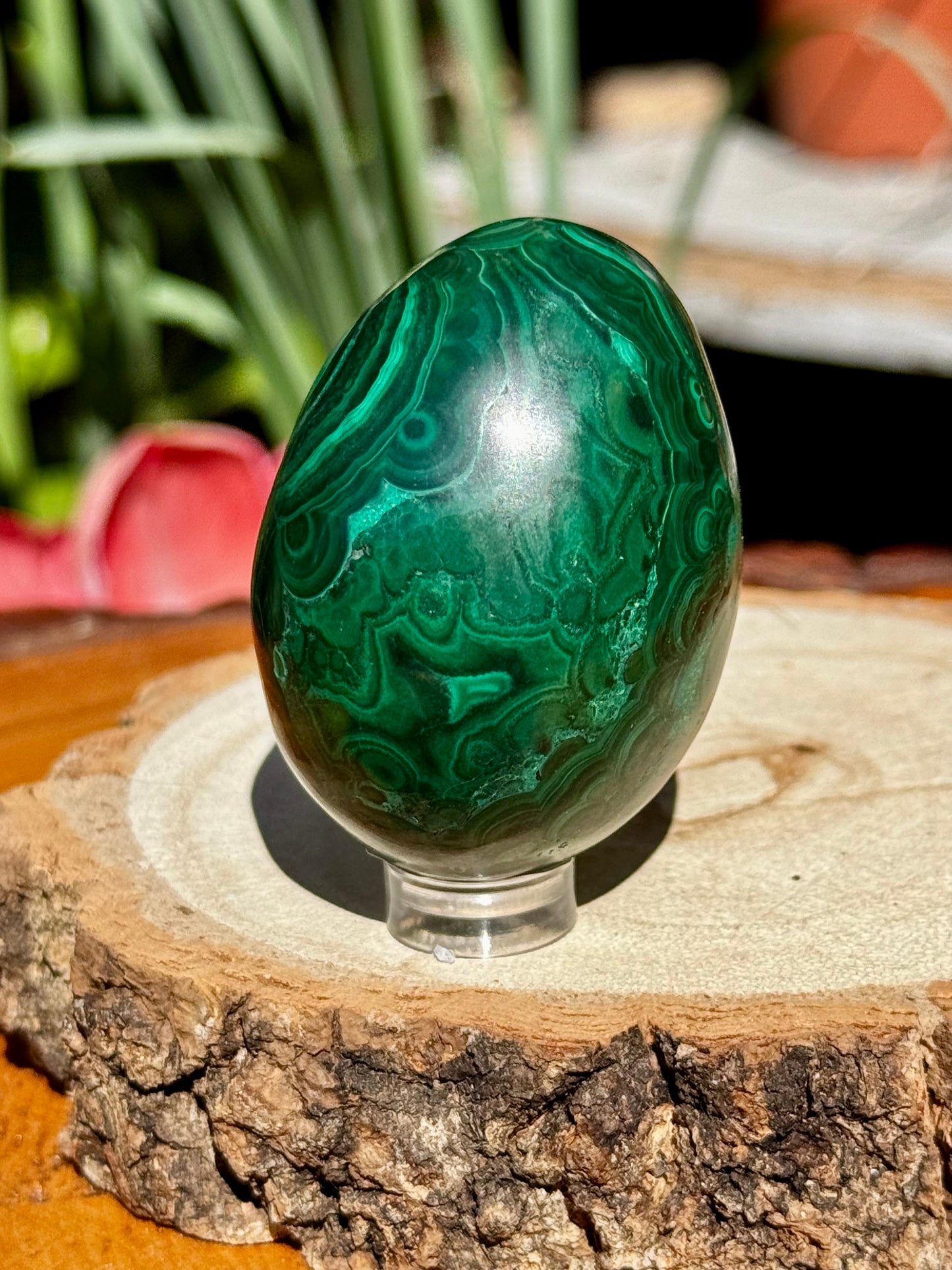 Malachite egg | 167g