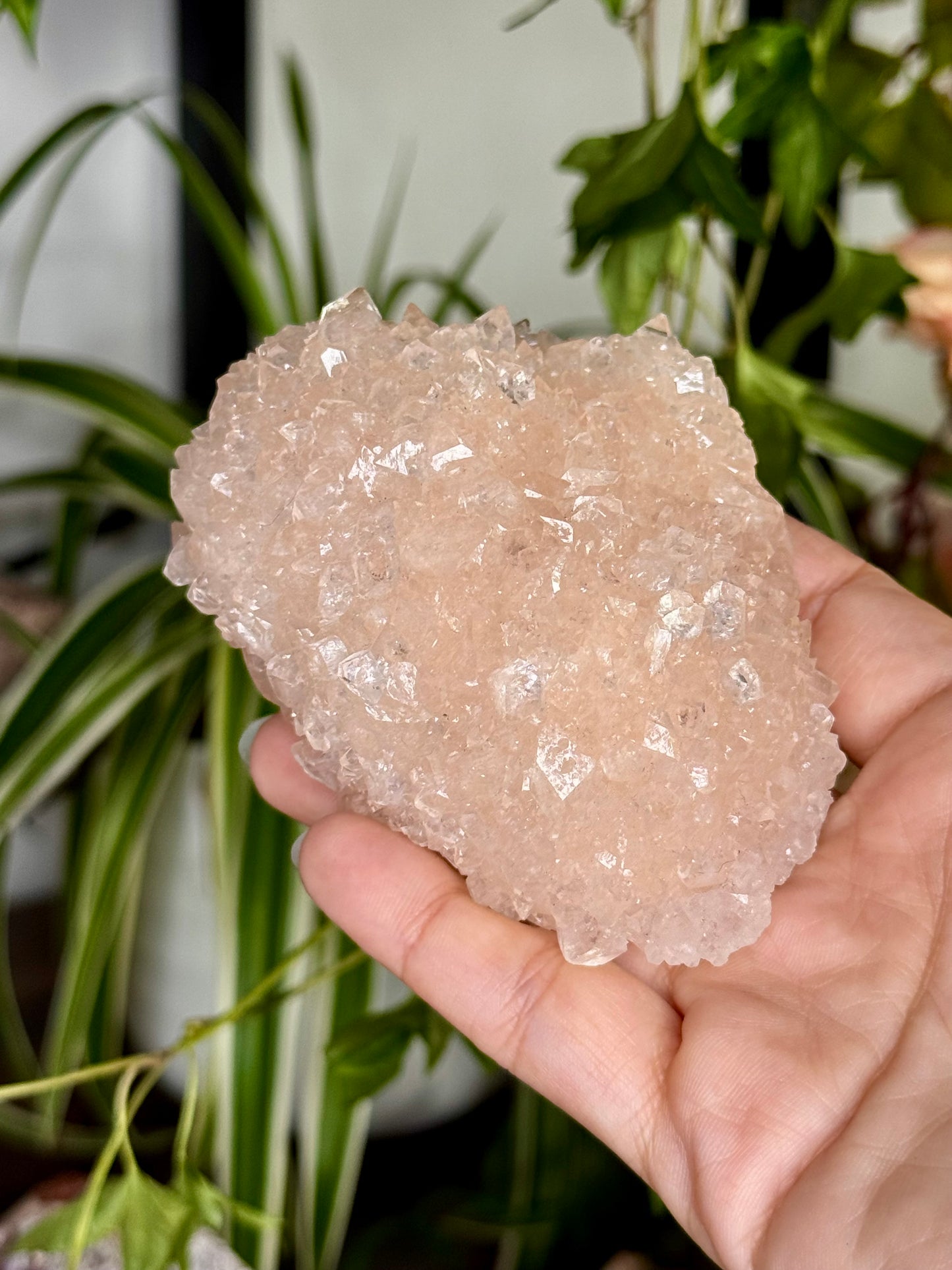 Pink Apophyllite Cluster | 129g