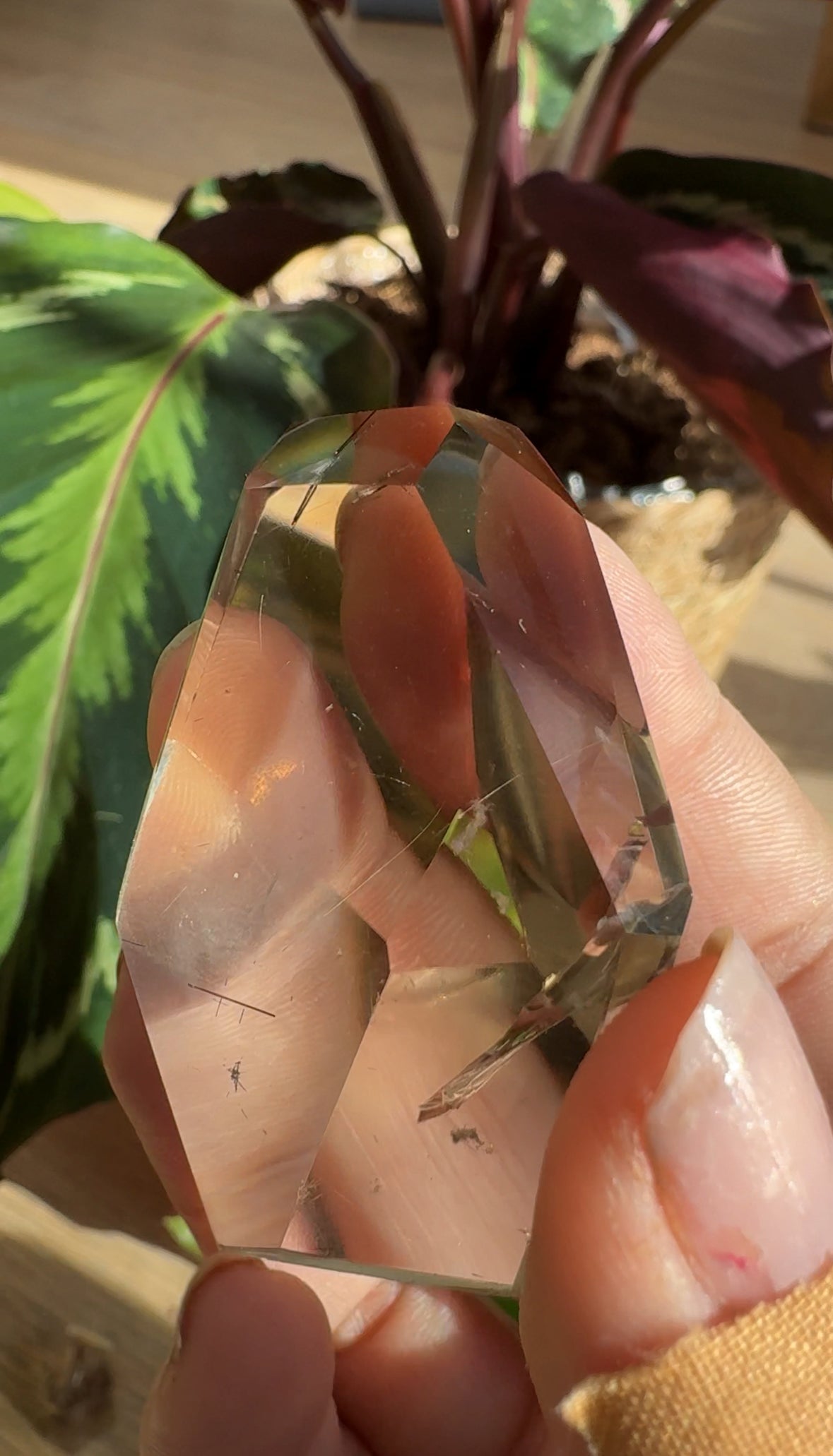 Mini Natural Brazilian Champagne Citrine Free Form | 4.8 cm