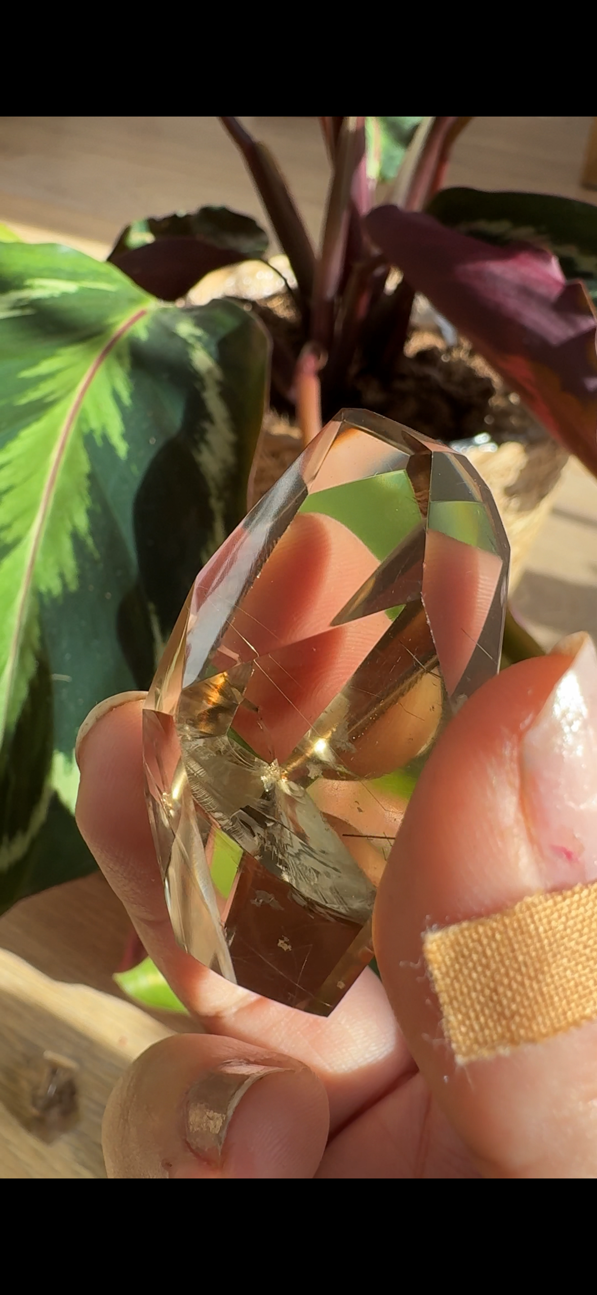 Mini Natural Brazilian Champagne Citrine Free Form | 4.8 cm