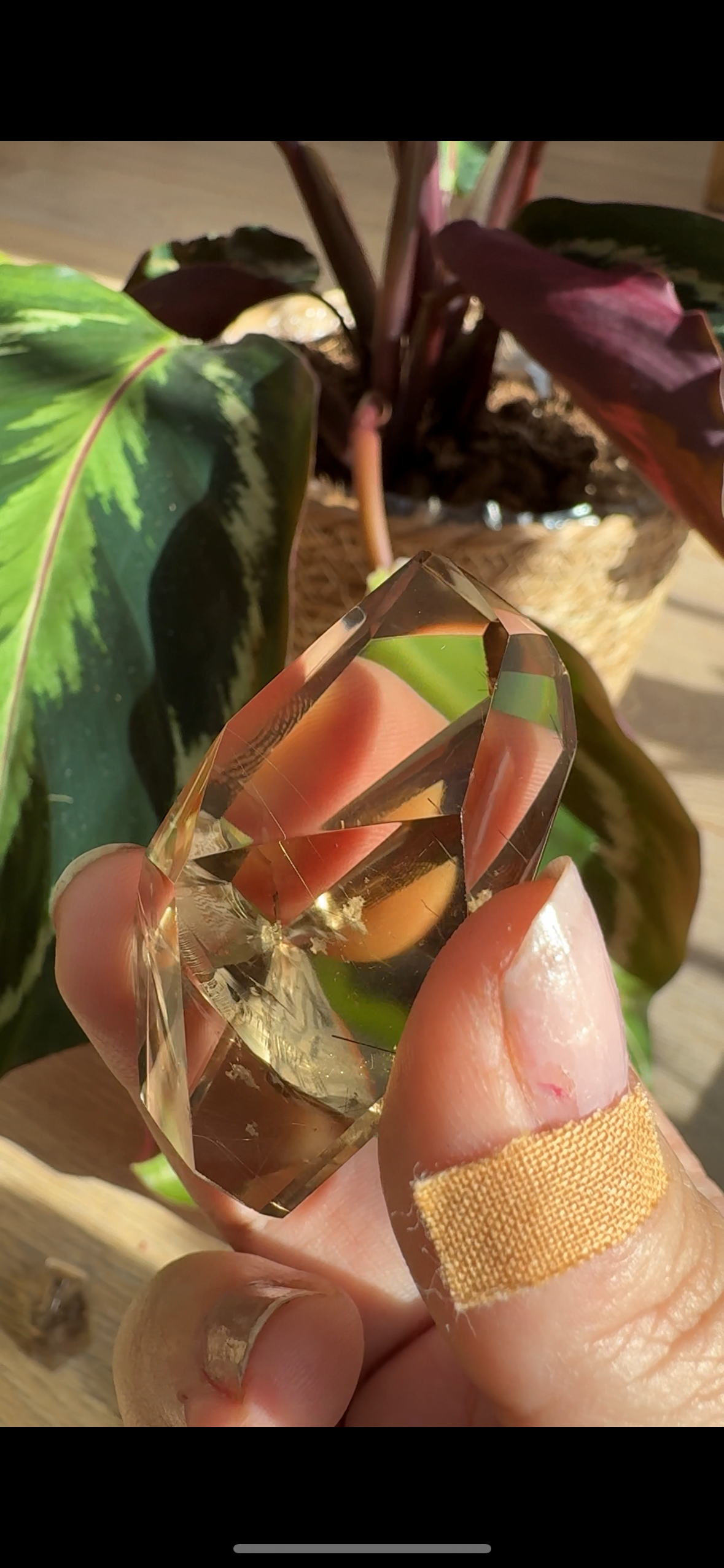 Mini Natural Brazilian Champagne Citrine Free Form | 4.8 cm