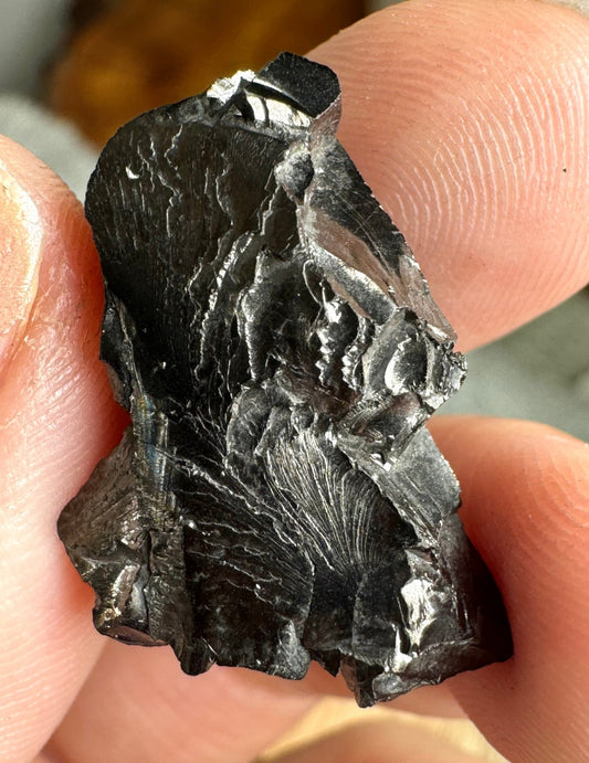 A Quality Tiny Elite Shungite | 1.7 cm - The Crystal Valley