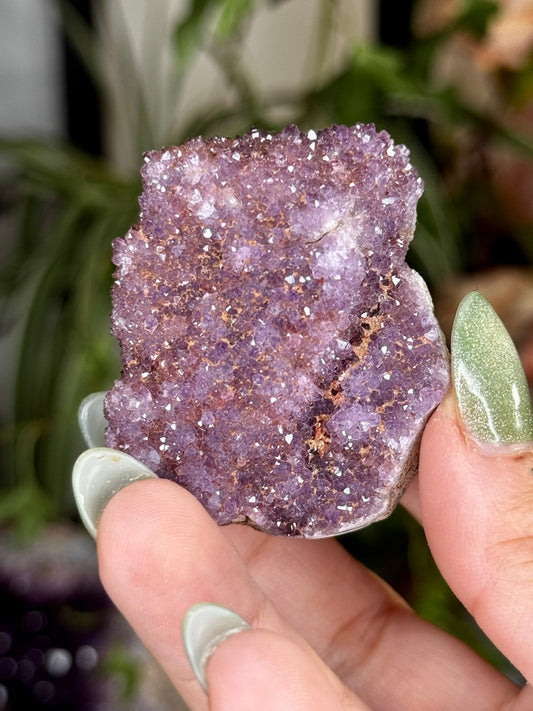 Alacam Amethyst Cluster | 50g - The Crystal Valley