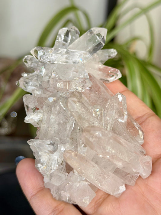 High Quality Clear Quartz Cluster |106g - The Crystal Valley