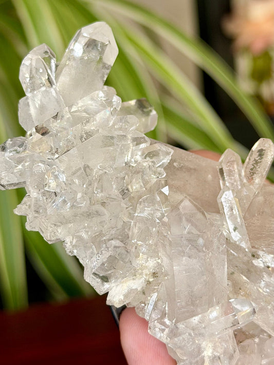 High Quality Clear Quartz Cluster |106g - The Crystal Valley