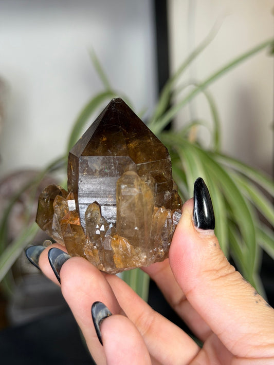 Natural Congo ('Kundalini) Citrine | 129g - The Crystal Valley