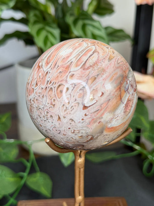 Petrified Wood Sphere | 478g - The Crystal Valley