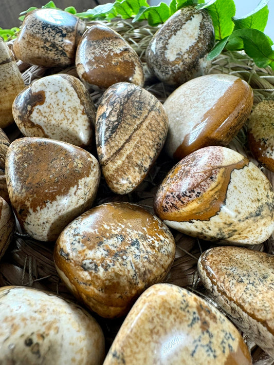 Picture Jasper Tumbles | Medium size - Intuitively Chosen - The Crystal Valley
