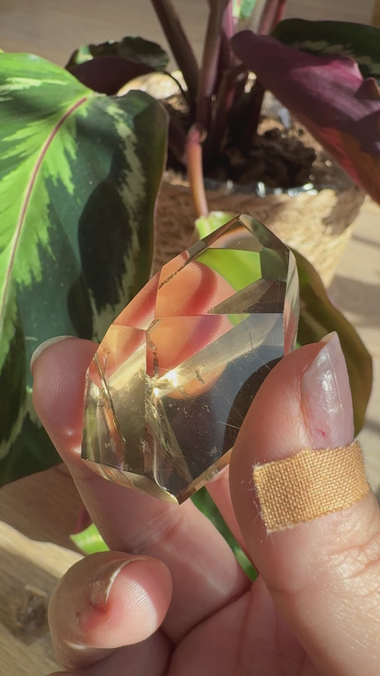 Mini Natural Brazilian Champagne Citrine Free Form | 4.8 cm